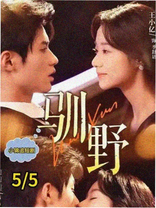 古代言情全本免费小说长安十二楼封面
